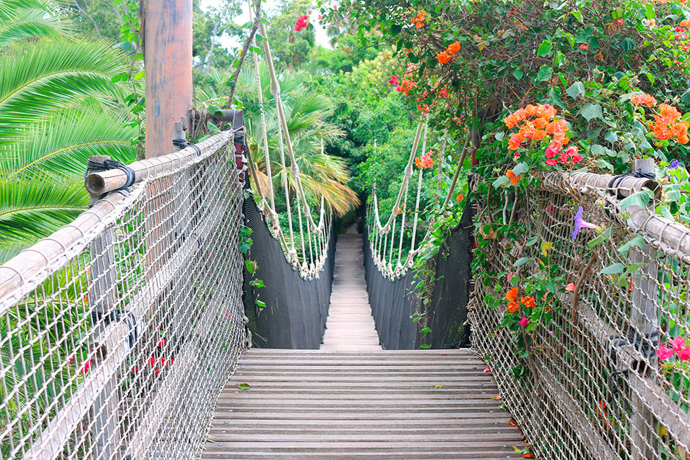 Jungle Park Tenerife