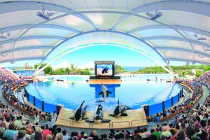 Tenerife Theme Parks - Loro Parque