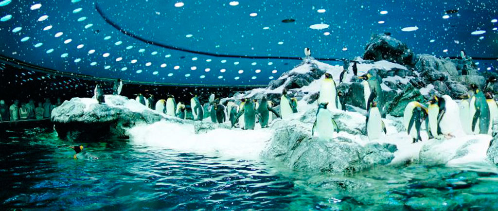 Loro Parque Tenerife